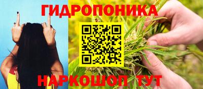 мяу мяу мука Кунгур