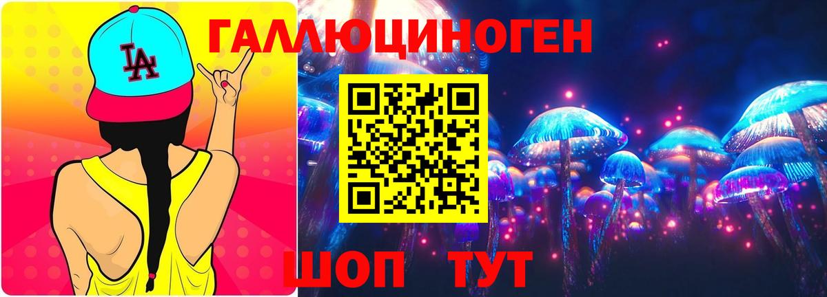 Железноводск  Псилоцибиновые грибы Cubensis  сколько стоит  Вход с VPN 
